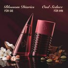 Blossom Diaries Eau de Parfum Angebote von bruno banani bei dm-drogerie markt Weinheim für 19,95 €