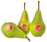 REWE Werder (Havel) Prospekt mit  im Angebot für 2,22 €