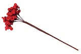 DEKO-BEEREN-RISPE im Angebot bei Wreesmann in Cuxhaven DEKO-BEEREN-RISPE Angebote bei Wreesmann Cuxhaven für 1,49 €