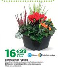 Jardineries du terroir Dole - Promo Composition fleurie Promo Composition fleurie à 16,99 € dans le catalogue Jardineries du terroir à Dole