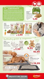 Teppich Angebot im aktuellen Zookauf Prospekt auf Seite 5