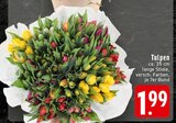 Tulpen Angebote bei EDEKA Oberhausen für 1,99 €