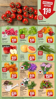 Hortensie im REWE Prospekt "Dein Markt" mit 18 Seiten (Darmstadt)