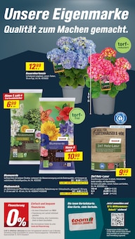Blumenerde im aktuellen toom Baumarkt Prospekt (Karlsruhe) Blumenerde im toom Baumarkt Prospekt "Respekt, wer's selber macht." mit 20 Seiten (Karlsruhe)