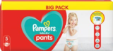 Pants oder Windeln von Pampers Baby Dry im aktuellen NETTO mit dem Scottie Prospekt