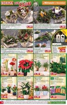 Palme im Norma Prospekt "Mehr fürs Geld" mit 29 Seiten (Leipzig)