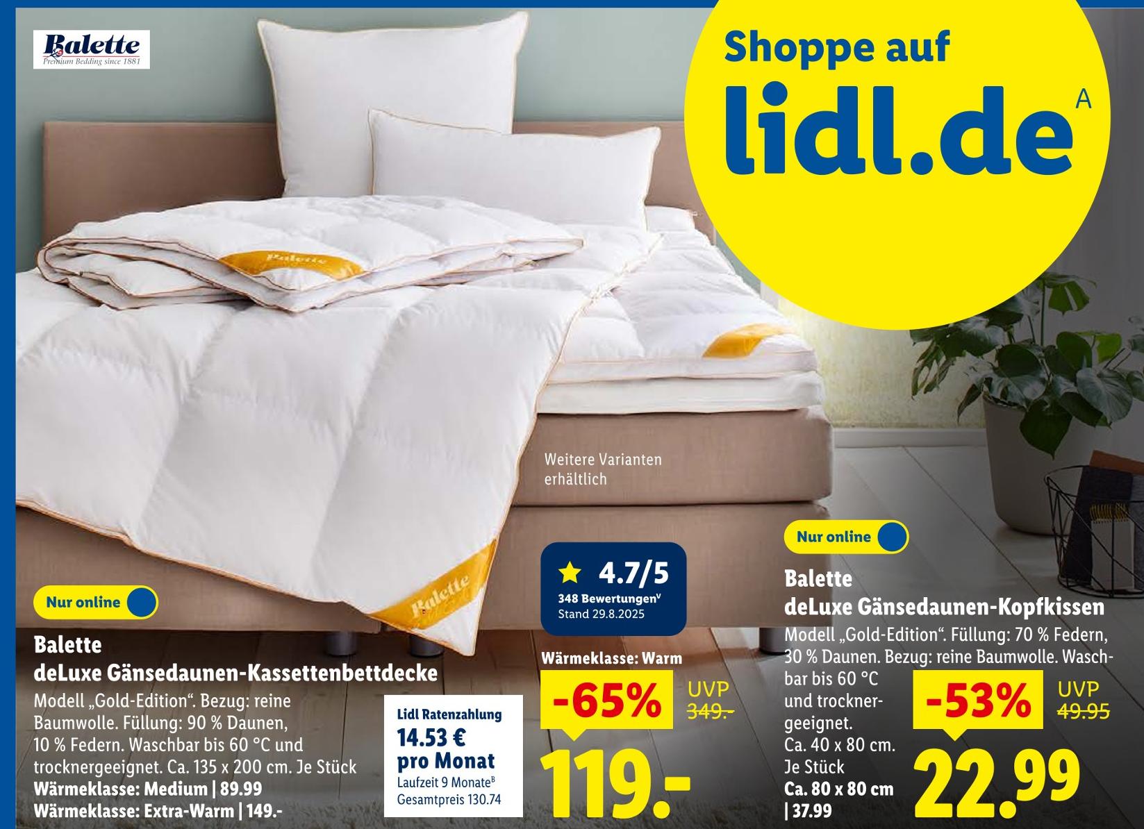deLuxe Gänsedaunen-Kassettenbettdecke