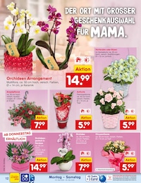 Netto Marken-Discount Schnittblumen im Prospekt 
