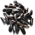 Miesmuscheln Galizien für 5,31 € bei METRO im Angebot Miesmuscheln Galizien im aktuellen METRO Prospekt