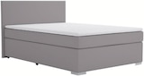 Boxspringbett im POCO Prospekt Boxspringbett im aktuellen POCO Prospekt für 499,00 €