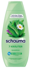 Shampoo im Angebot bei REWE in Hürth Shampoo Angebote von Schauma bei REWE Hürth für 1,69 €