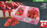Erdbeeren bei EDEKA im Lohr Prospekt für 4,99 €