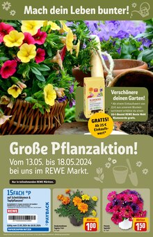 Gartenpflanzen im REWE Prospekt "Dein Markt" mit 28 Seiten (Hamm)