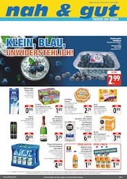 nah und gut Prospekt für Regis-Breitingen: "Wir lieben Lebensmittel!", 4 Seiten, 19.01.2026 - 24.01.2026