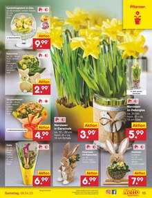 Garten Angebot im aktuellen Netto Marken-Discount Prospekt auf Seite 15