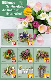 REWE Blumen im Prospekt 