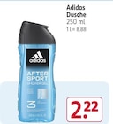 Dusche Angebote von Adidas bei Rossmann Neustadt für 2,22 €