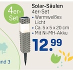 Solar-Säulen bei Rossmann im Prospekt "" für 12,99 €