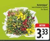 Herbsttulpen im Angebot bei EDEKA in Altenburg Herbsttulpen Angebote bei EDEKA Altenburg für 3,33 €