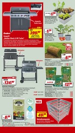 toom Baumarkt Rasen im Prospekt toom Baumarkt Rasen im Prospekt