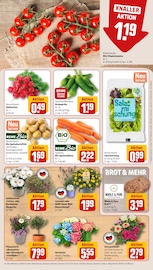 Aktueller REWE Prospekt mit Hortensie, "Dein Markt", Seite 15