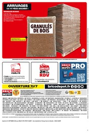 Granulé Bois Angebote im Prospekt "PRIX DÉPÔT" von Brico Dépôt auf Seite 12