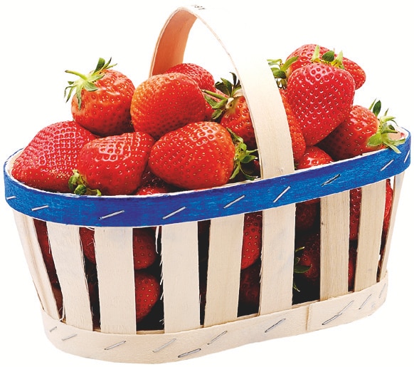 Fraises rondes de Carpentras