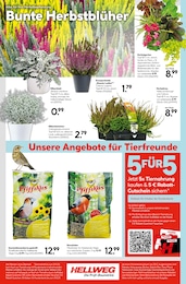 Heide Angebot im aktuellen Hellweg Prospekt auf Seite 24