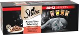 Sachets repas Mini filets en sauce pour chat à Carrefour dans Béhasque-Lapiste Sachets repas Mini filets en sauce pour chat à Carrefour dans Béhasque-Lapiste