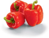 Aktuelles Paprika rot Angebot bei Netto Marken-Discount in Paderborn ab 0,49 €