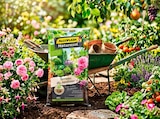 Terreau du Jardinier à Carrefour dans Azay-le-Ferron