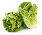 Aktuelles Mini-Romana Salat Angebot bei Netto Marken-Discount in Duisburg ab 1,11 €