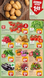 Blumen im REWE Prospekt in Fellbach Aktueller REWE Prospekt mit Blumen, "Dein Markt", Seite 9