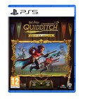 Jeu "Harry Potter : Champions de Quidditch" pour PS5 ou Switch dans le catalogue Carrefour