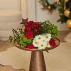 Bouquet Étoile rouge - FLEUR dans le catalogue Carrefour