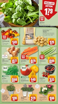 Pflanzen im REWE Prospekt "Dein Markt" mit 16 Seiten (Offenbach (Main))