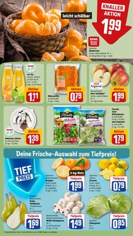 Gemüse im REWE Prospekt "Dein Markt" mit 20 Seiten (Siegen (Universitätsstadt))