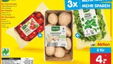 Bio Cherrytomaten im Angebot bei Netto Marken-Discount in Köln Bio Cherrytomaten Angebote von BioBio bei Netto Marken-Discount Köln für 4,00 €