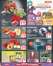 Ähnliche Skischuh-Schuhtrockner Angebote im Prospekt "Aktuelle Angebote" von EDEKA Ähnliches Angebot bei EDEKA in Prospekt "Aktuelle Angebote" gefunden auf Seite 5