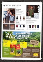 Aktueller Hamberger Prospekt mit T-Shirt, "Kirchweih", Seite 35
