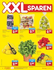 Ähnliche Erdbeerpflanzen Angebote im Prospekt "Aktuelle Angebote" von Netto Marken-Discount in Erfurt Ähnliche Angebote wie Erdbeerpflanzen im Prospekt "Aktuelle Angebote" auf Seite 4 von Netto Marken-Discount in Erfurt