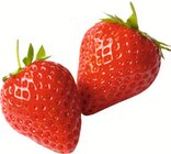 Fraise ronde à Monoprix dans Puteaux Fraise ronde à Monoprix dans Puteaux