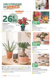 Promos Ficus dans le catalogue "J'AIME QUAND C'EST RELAX" de Jardiland à la page 2