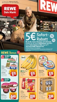 Aktueller REWE Prospekt für Springe mit  Seiten