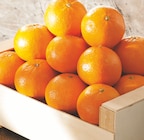 Promo Mandarine à 2,49 € dans le catalogue Intermarché Super à L'Île-d'Yeu