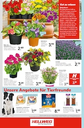 Hundefutter Angebot & Preis im aktuellen Hellweg Prospekt Hundefutter Angebot im aktuellen Hellweg Prospekt auf Seite 22