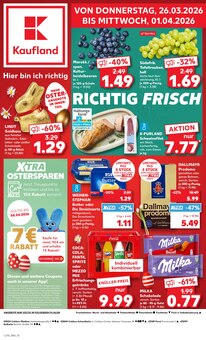 Kühlschrank im Kaufland Prospekt "KNÜLLER" mit 80 Seiten (Cottbus)