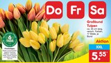 Großbund Tulpen Angebote bei Netto Marken-Discount Stendal für 5,55 €