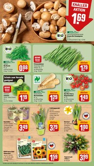 Staubsauger im REWE Prospekt "Dein Markt" mit 31 Seiten (Hamburg)