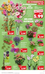 Pflanzen Angebot & Preis im aktuellen Kaufland Prospekt Pflanzen Angebot im aktuellen Kaufland Prospekt auf Seite 5